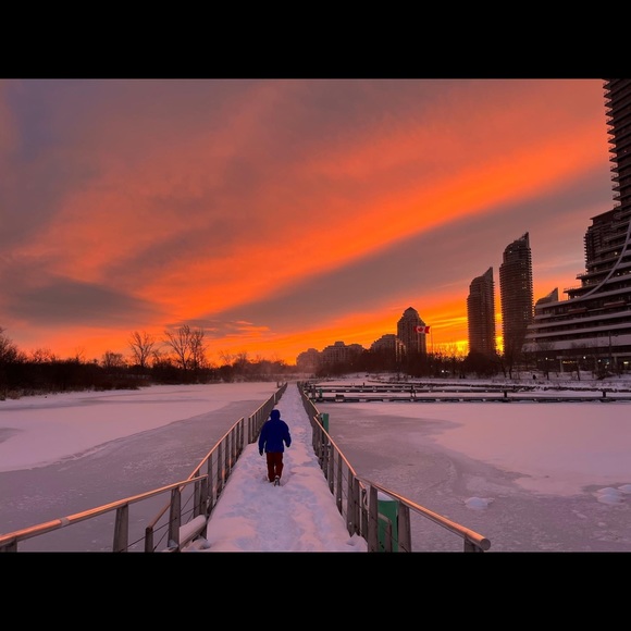 Meet your Posher, Tommy - Picture 3 of 3